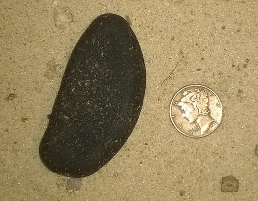 A brown whale. The Picture doesn't do it justice.